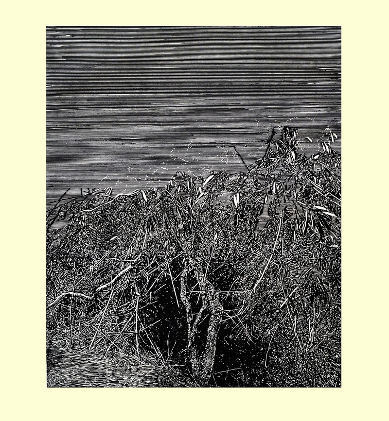 Somewhere In Northeast India