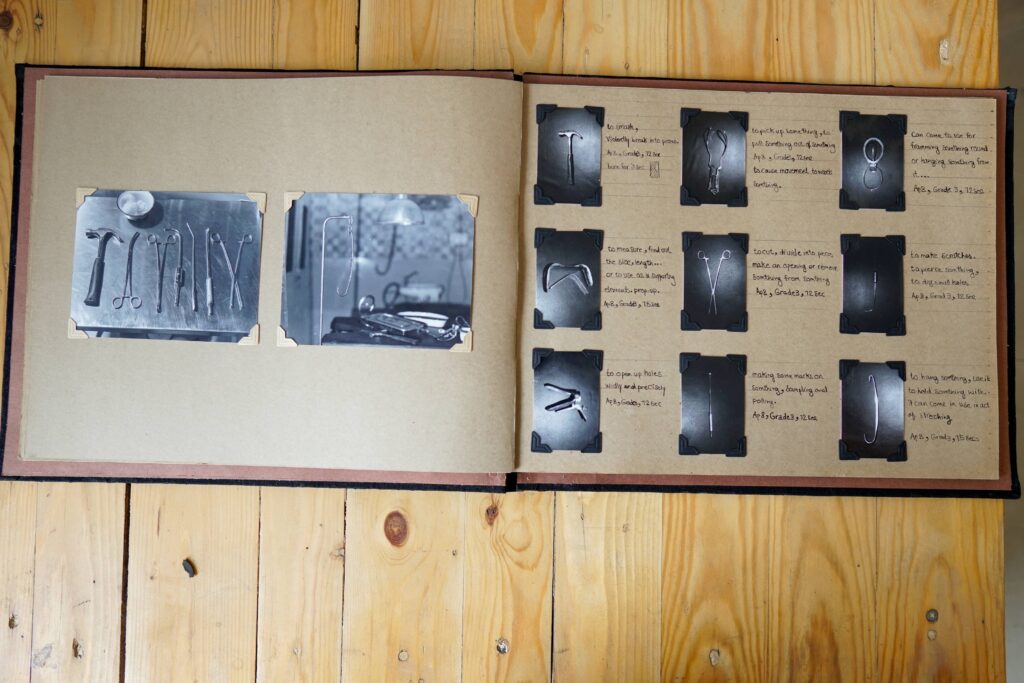 The Insanity Defence