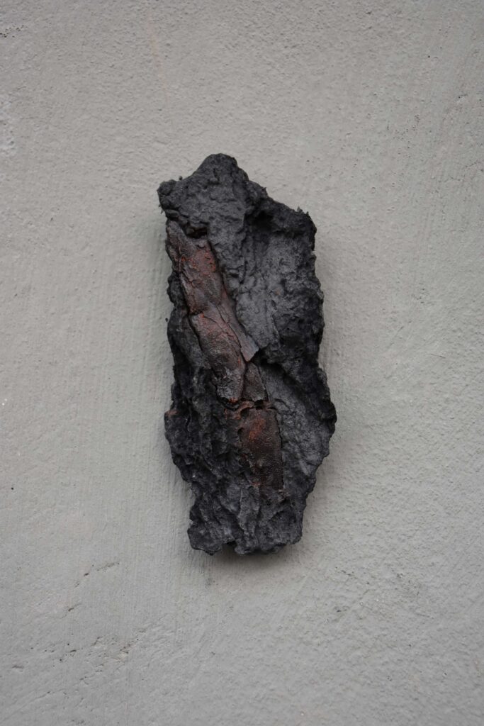 Isolated Studies on (un)natural Irregularities V