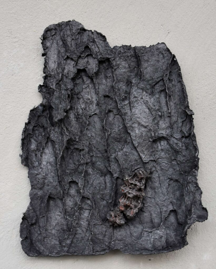 Isolated Studies on (Un)natural Irregularities III