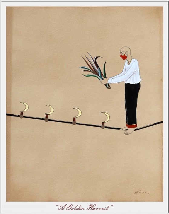 A Golden Harvest from Funambulist : Story of A Dynamic Equilibrium Series