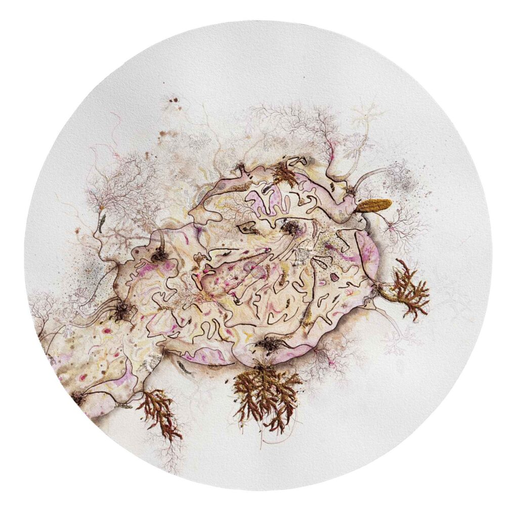 The Transcendence of Quiet Moments