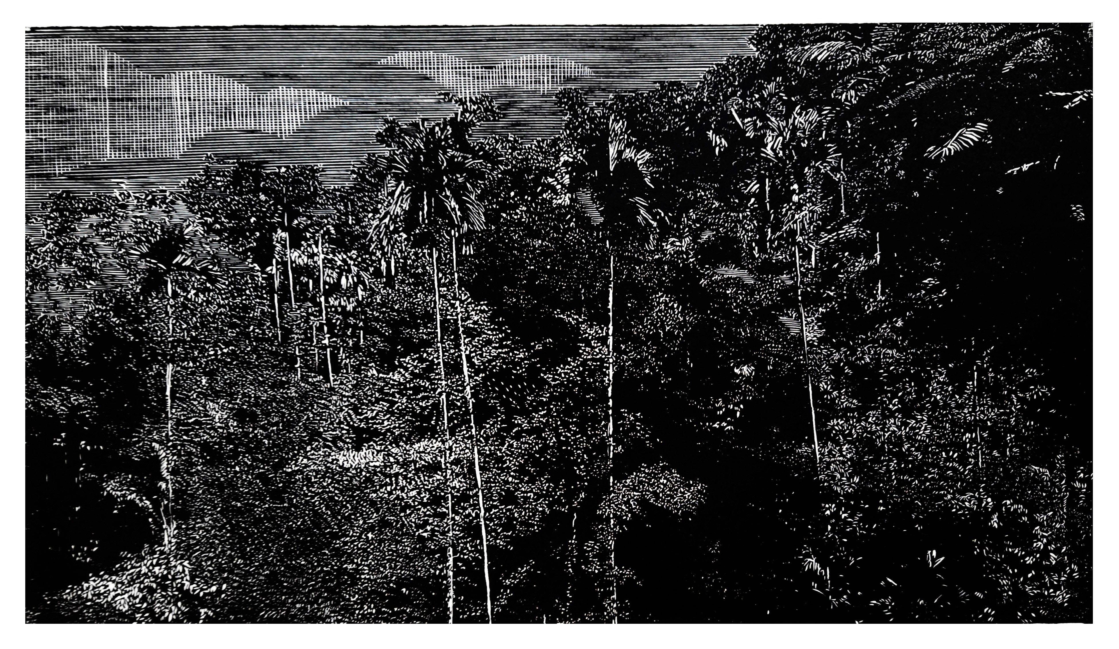 Somewhere in Northeast India 