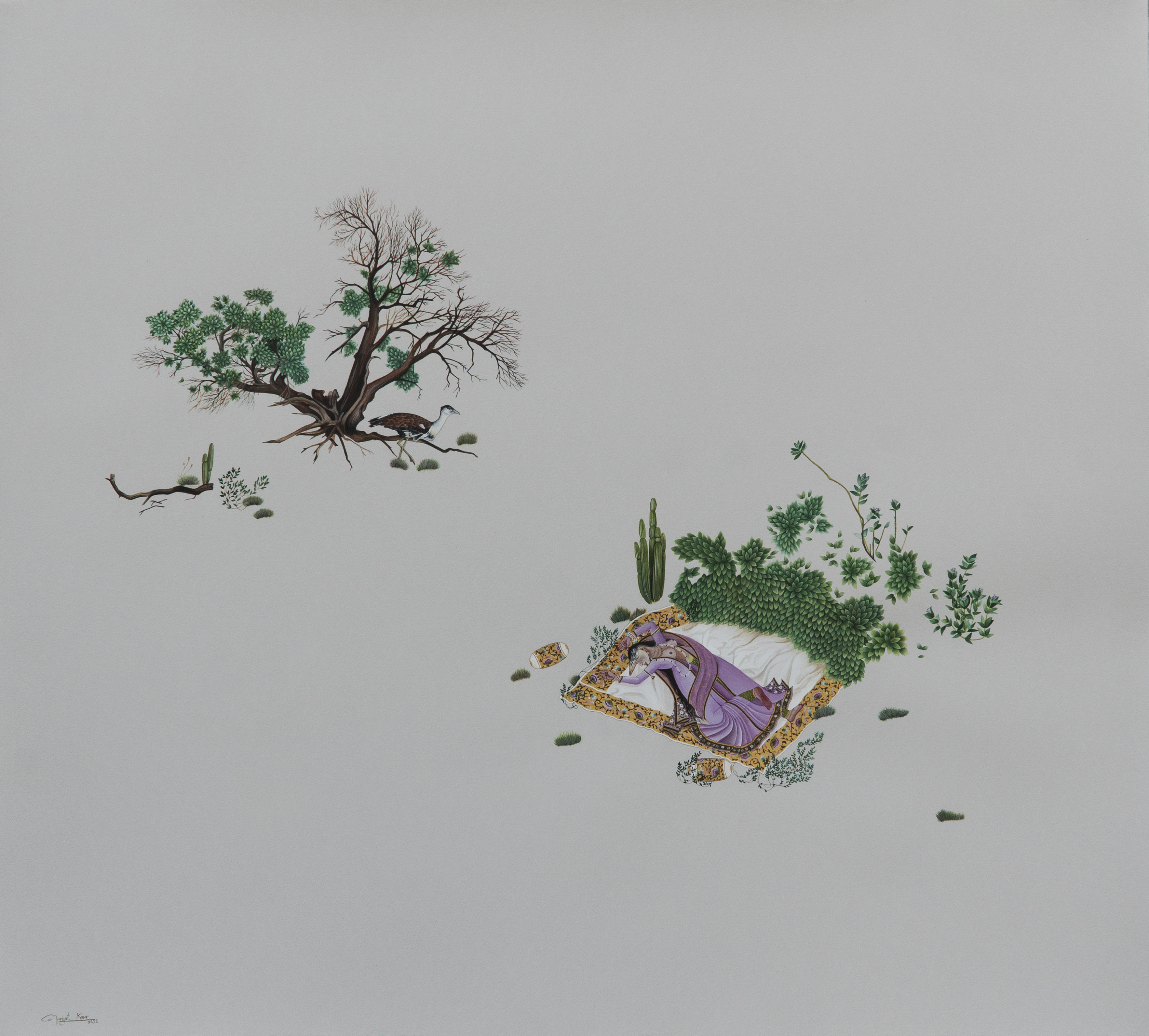 Virahini and the Great Indian Bustard