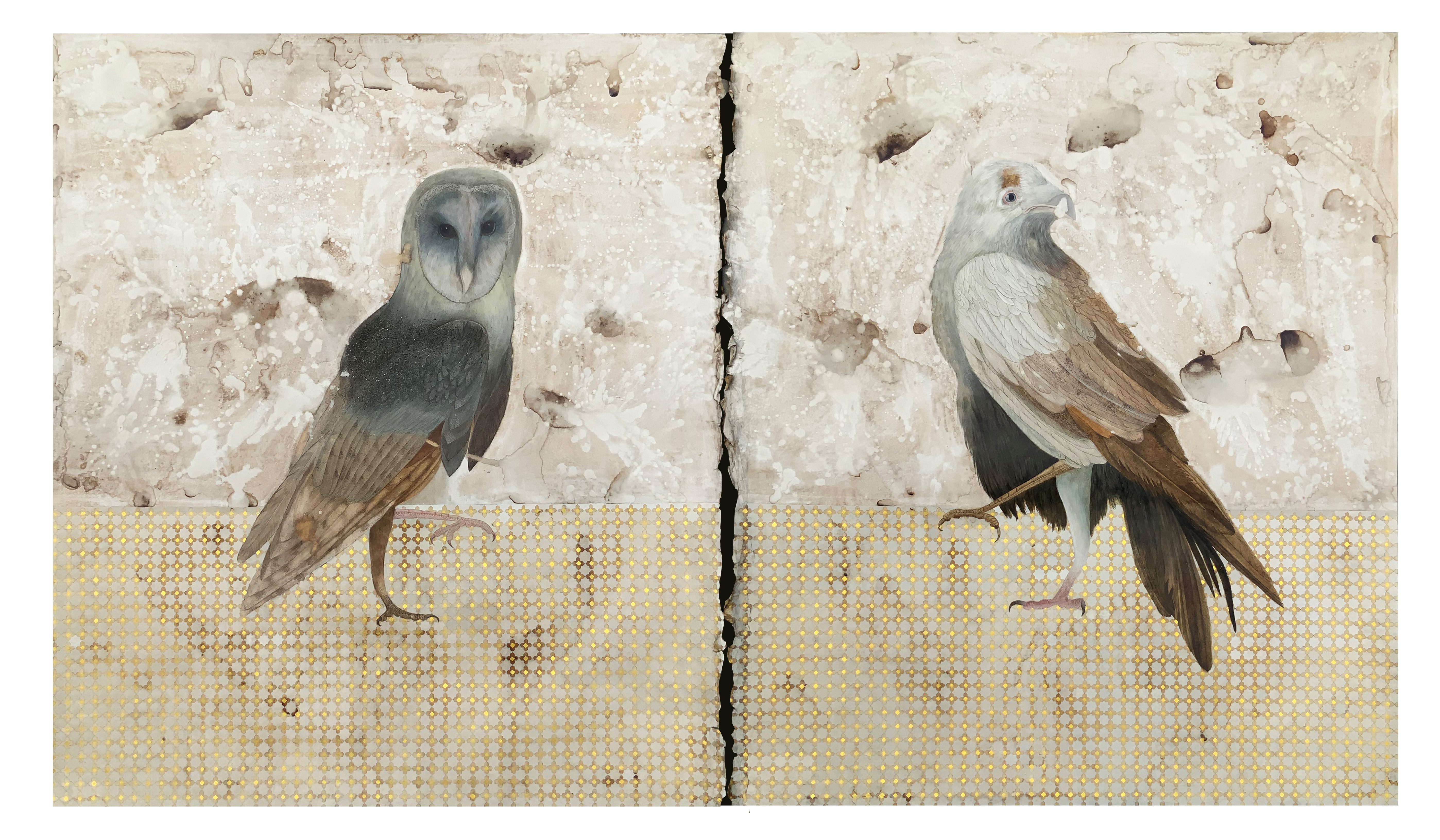 The Crow and The Owl 