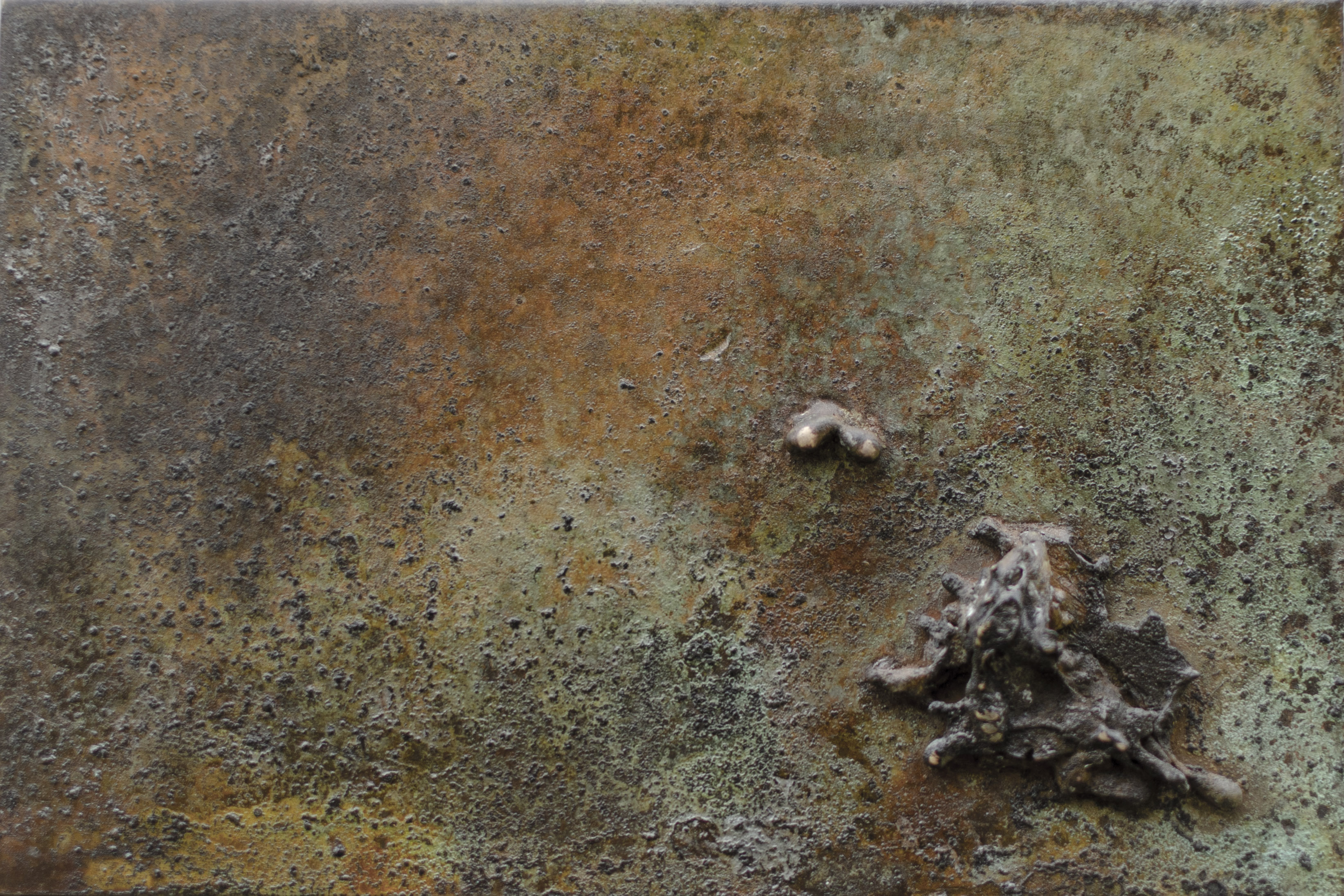 Waiting For Woodpeckers IV
