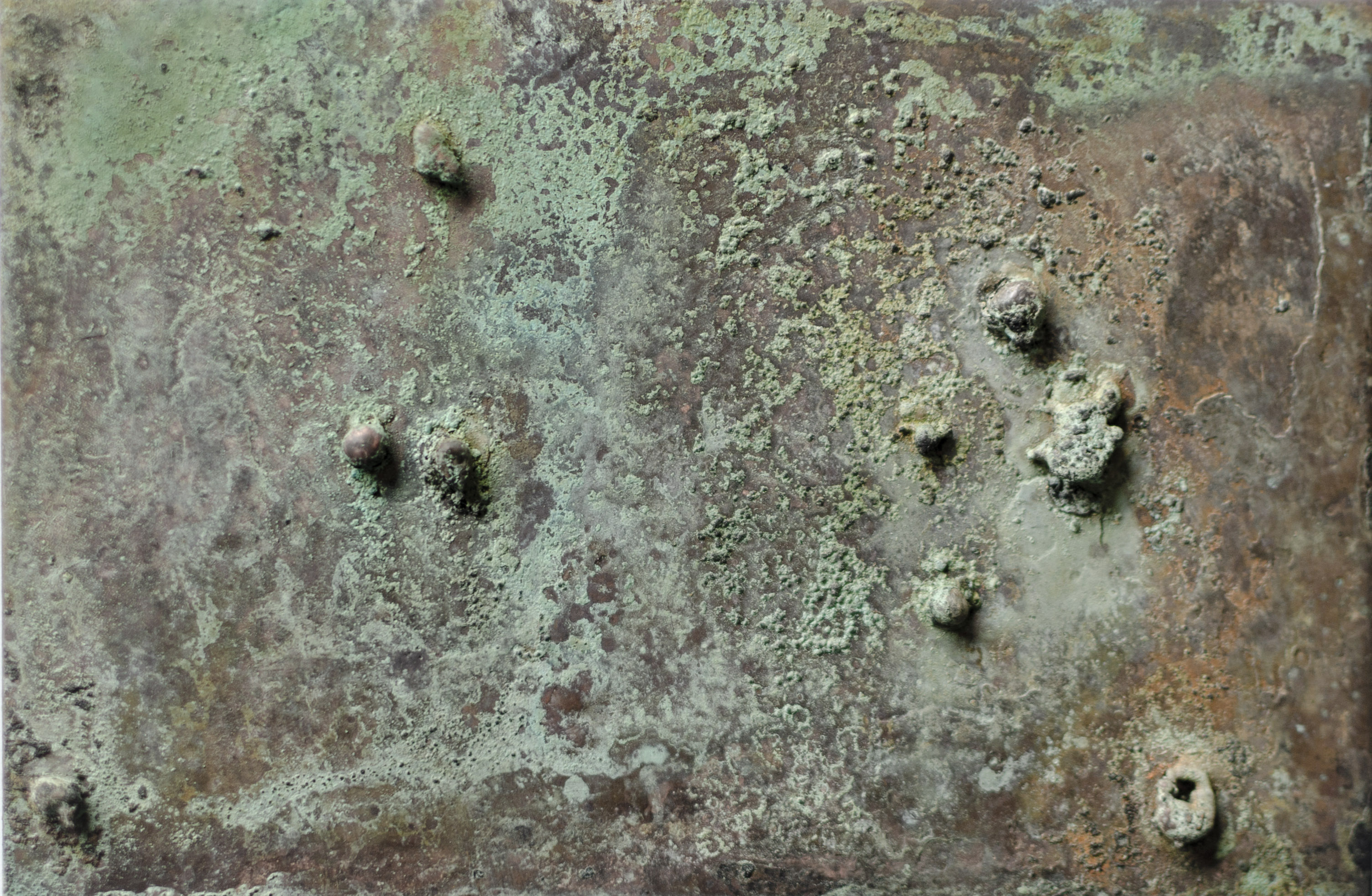 Waiting For Woodpeckers VI