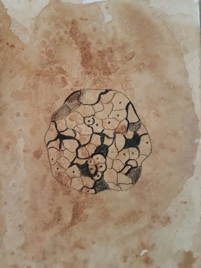 Lainika, Story of Microbes IX