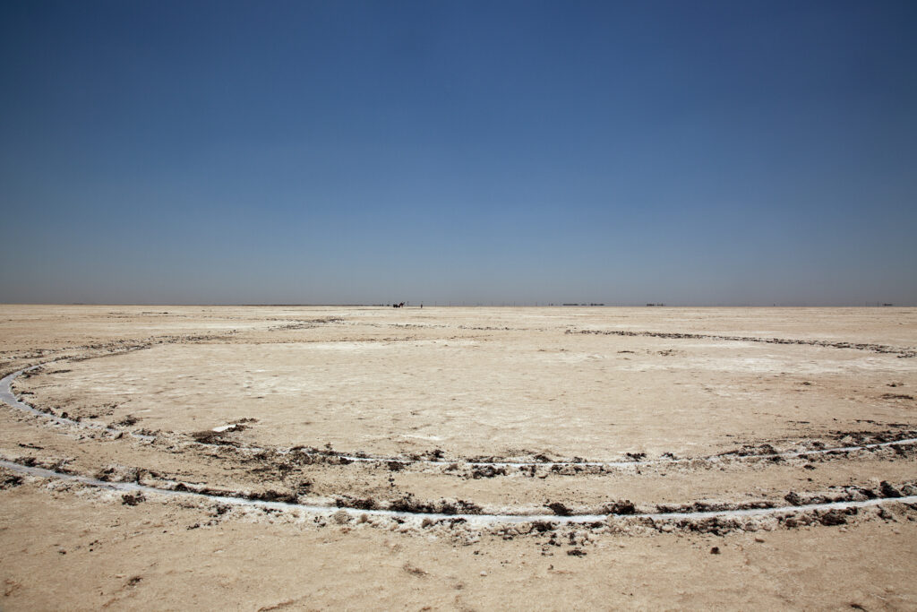 Camel and the needle  