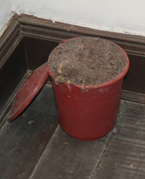 Rye ‘Mustard Seeds’