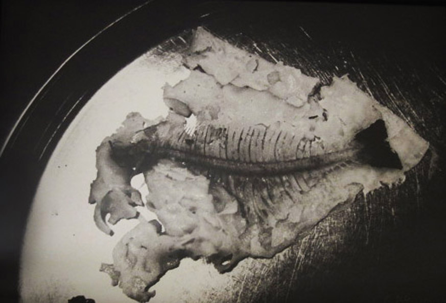 Skeleton (Diptych)                       