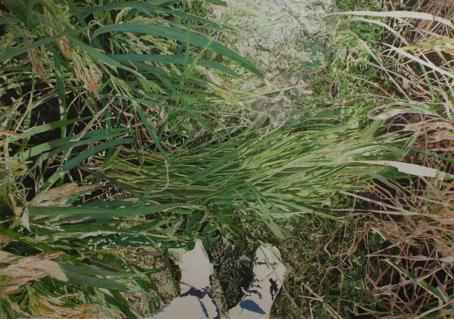 Ghare, Khet, Dera