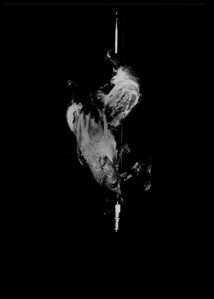 L28_ZAH-Y_012