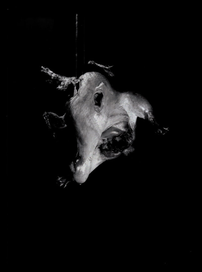 L28_ZAH-Y_013