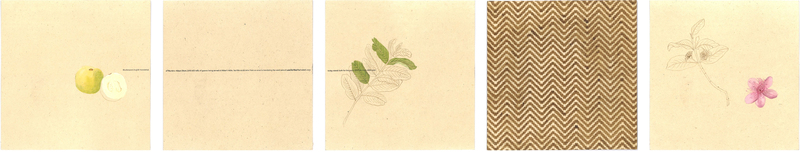 Gulistan (Guava)