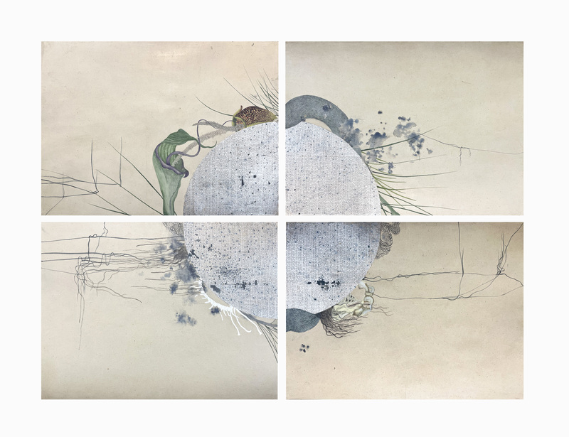 From the series  Other worlds